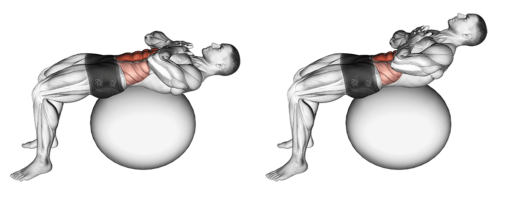 crunch sur swiss ball