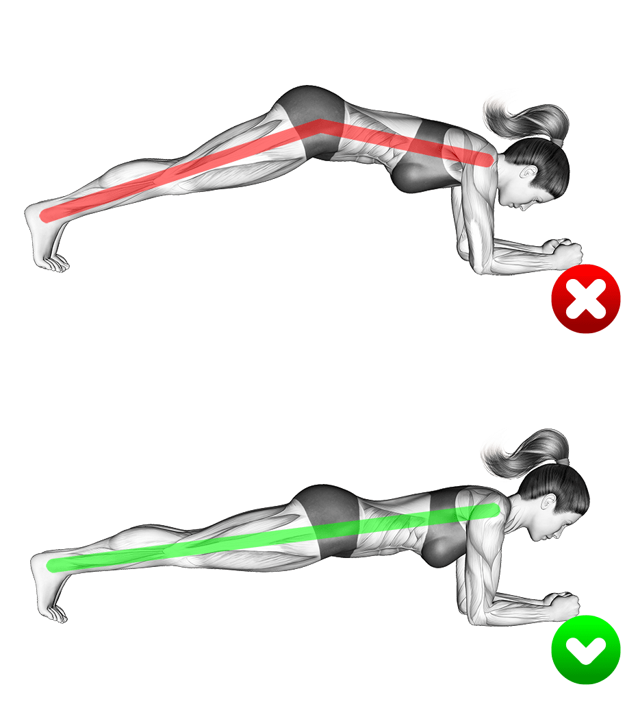 bonne position du gainage frontale