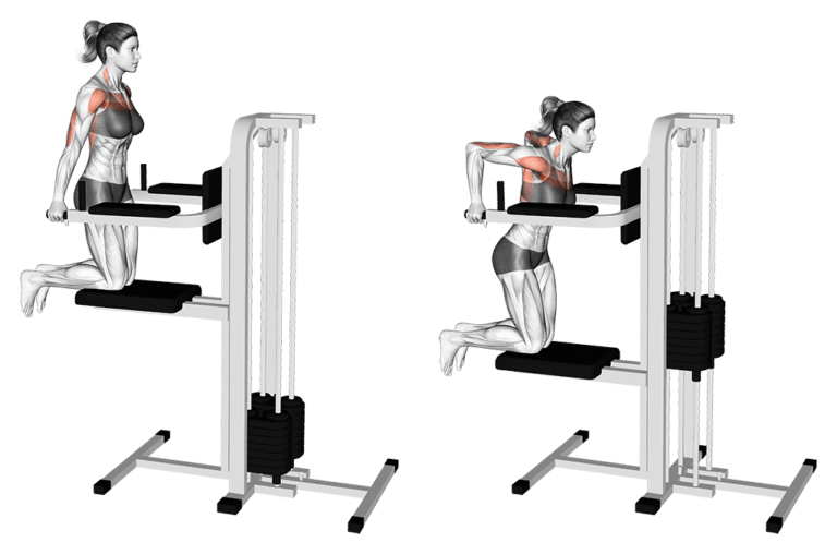 Les Dips : 6 étapes pour maîtriser cet exercice