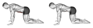 exercice du stomach vacuum musculation