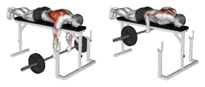 rowing planche