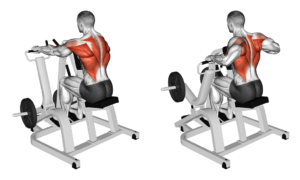 rowing machine assis