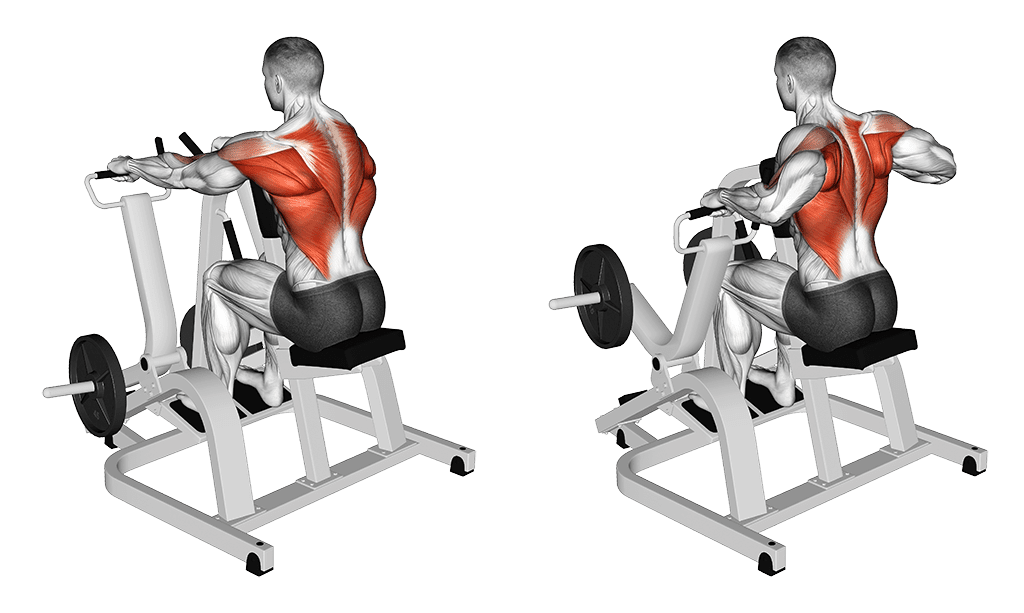 rowing machine assis