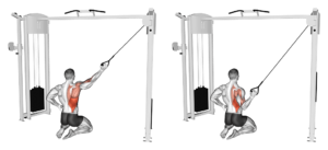 tirage unilatéral vertical pour le grand dorsal