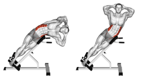 side bend pour les obliques