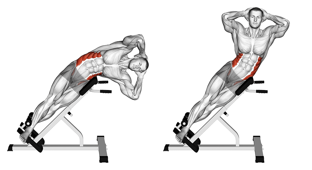 side bend pour les obliques