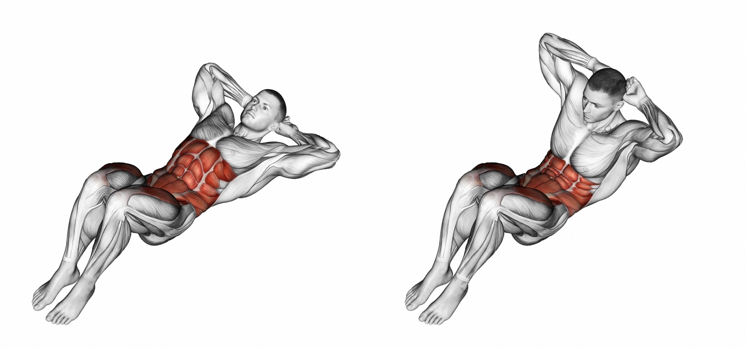 crunch exercice abdominaux