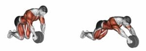 ab wheel ou roue à abdominaux