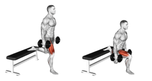 split squat aux haltères