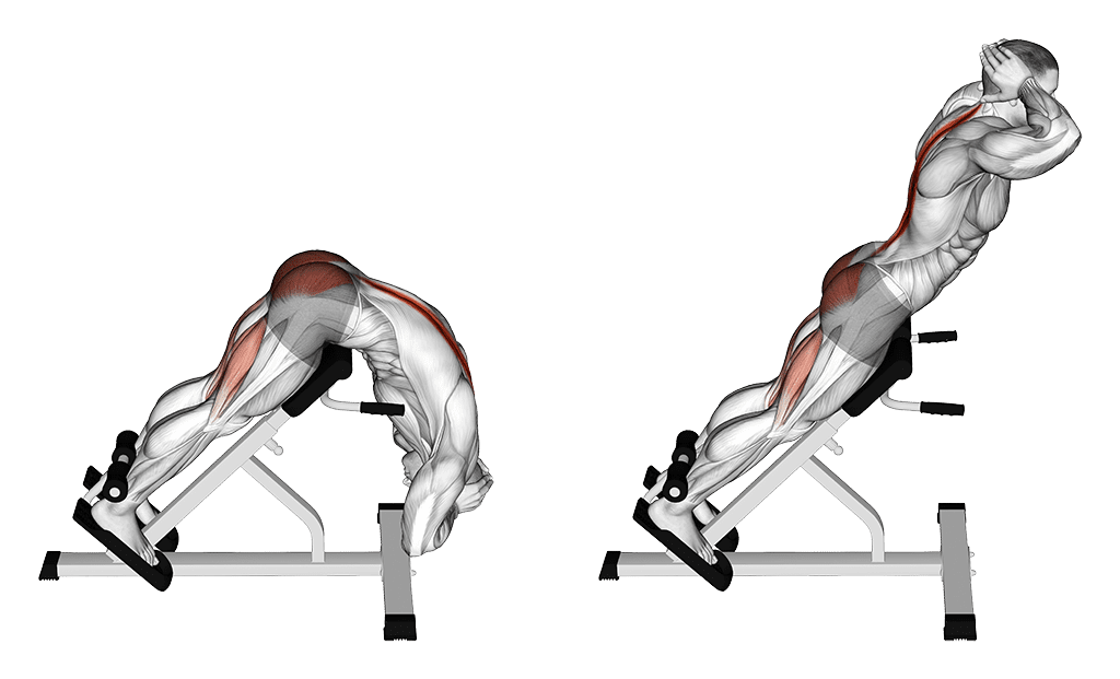 hyperextension au banc à lombaires à 45°