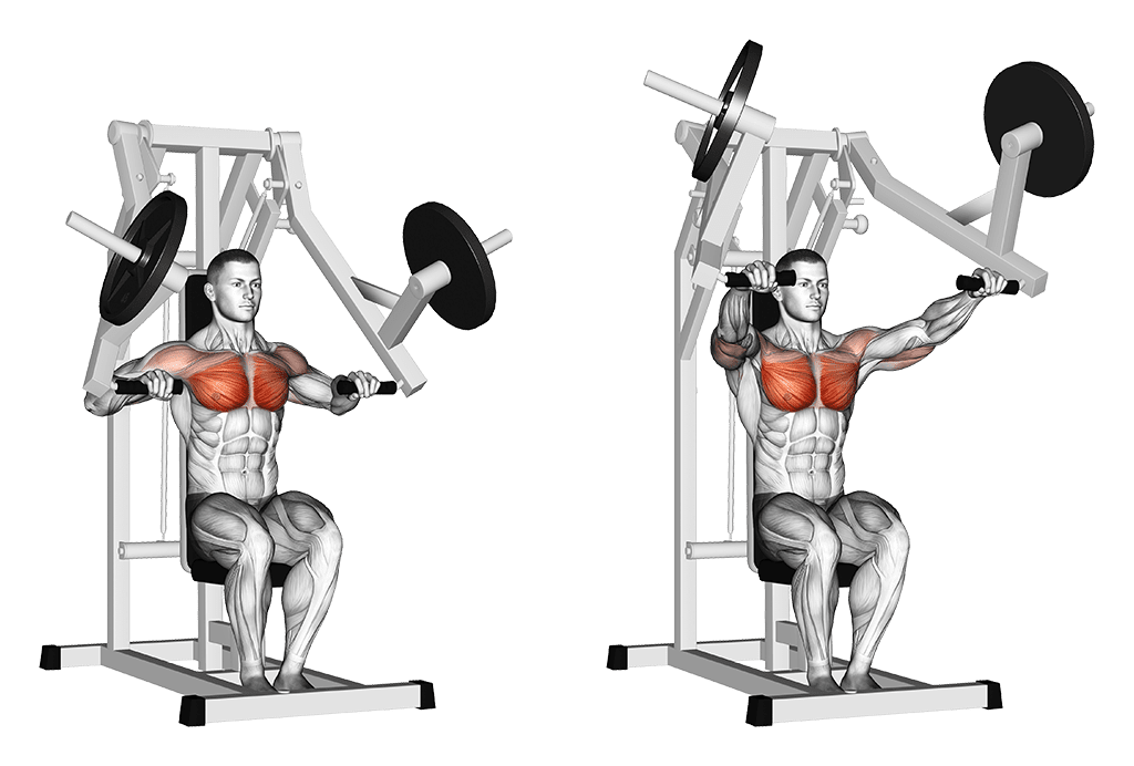 machine chest press convergente poids en haut