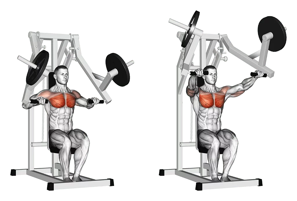 machine chest press convergente poids en haut