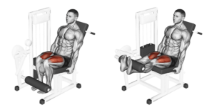 leg extension pour les quadriceps