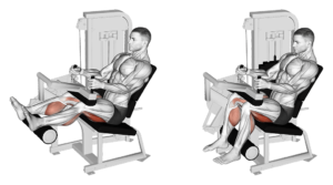 leg curl assis