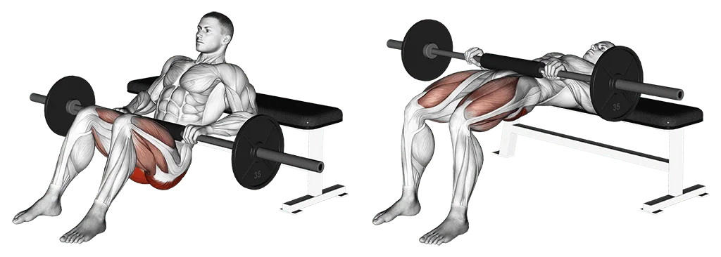 hip thrust à la barre sur un banc