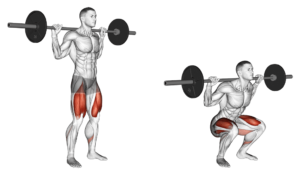 squat à la barre