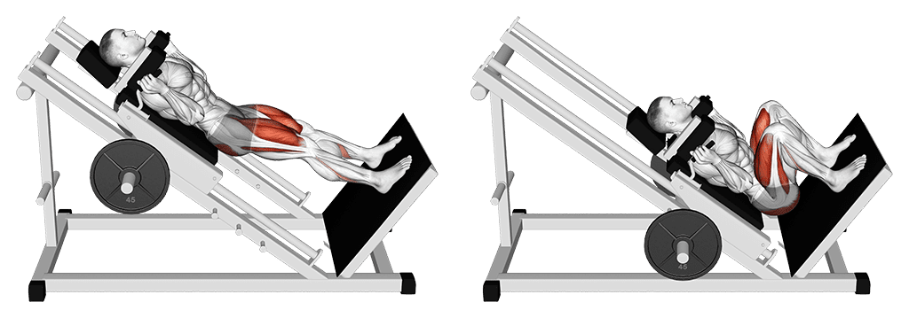 hack squat
