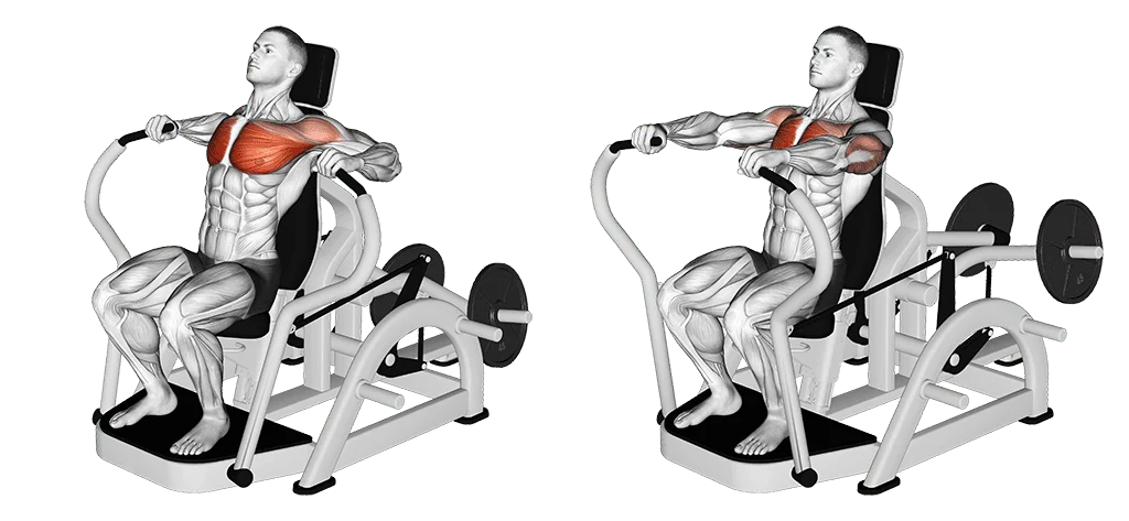 machine chest press poids vers le bas, non convergente