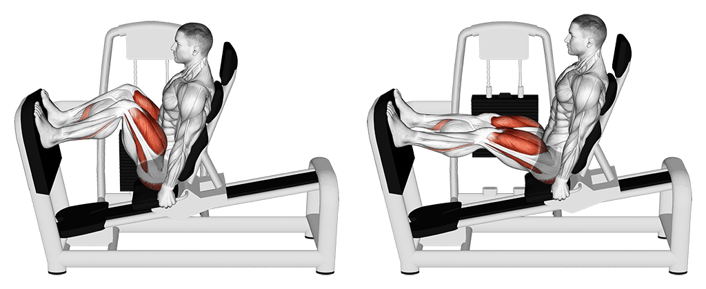 Presse Cuisses Ou Leg Press Ex cution Conseils Et Variantes