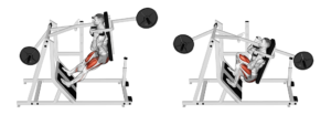 pendulum squat