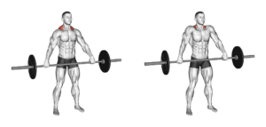 shrug à la barre