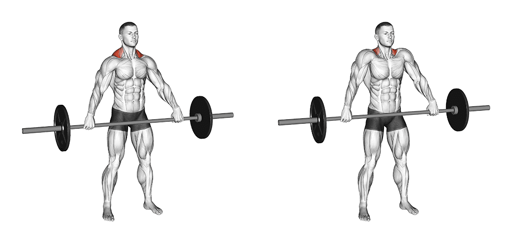 shrug à la barre