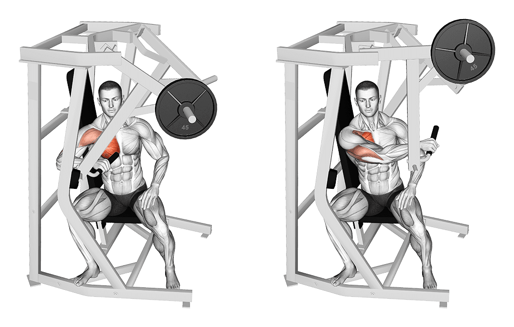 chest press unilatérale pour les pectoraux