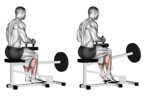 Extension mollets assis