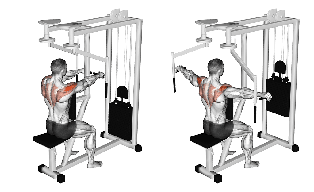 pec deck inversé pour l'arrière d'épaules