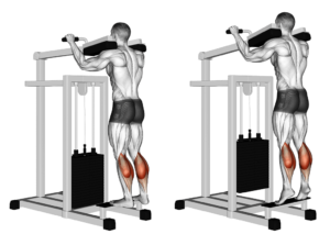 extension mollets debout à la machine