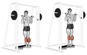 extension mollets à la smith machine