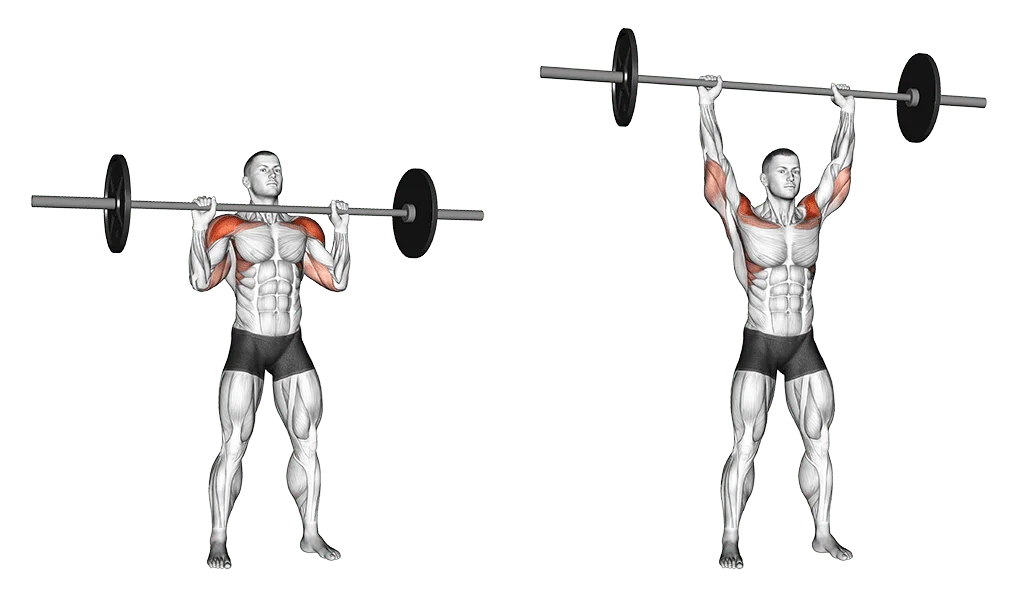 développé militaire