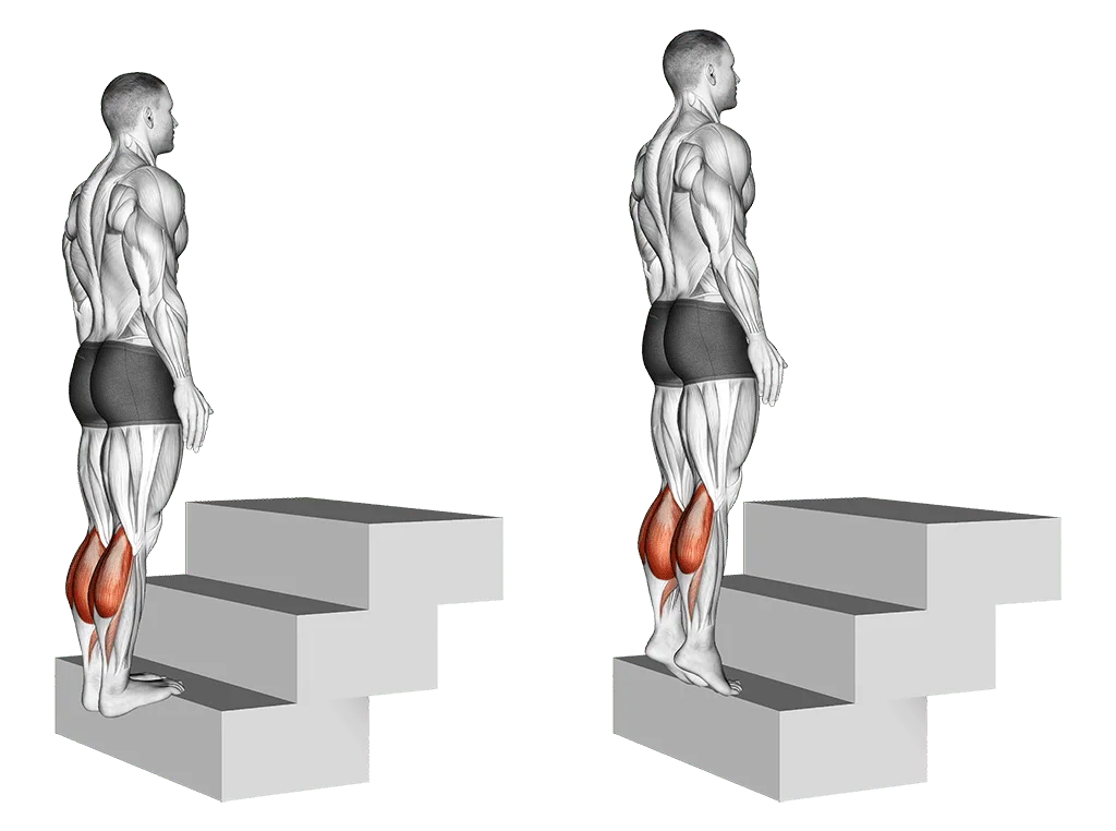 extensions mollets debout sur escalier