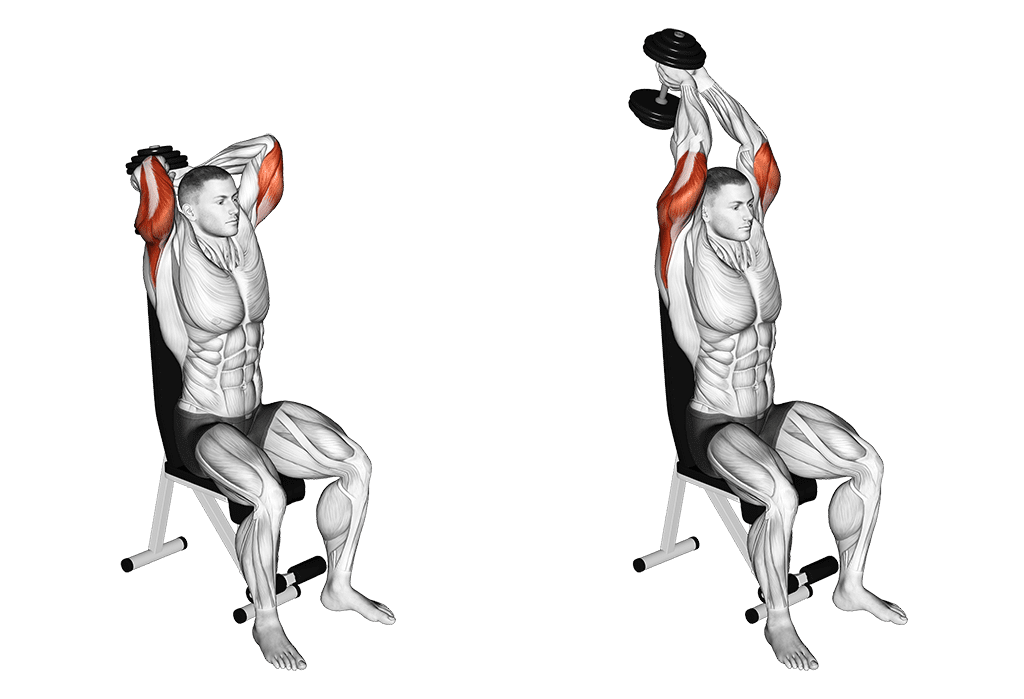 extension triceps aux haltères