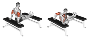dips entre deux bancs pour les triceps