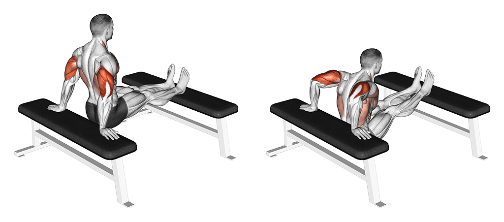 dips entre deux bancs pour les triceps