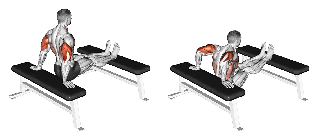 dips entre deux bancs pour les triceps