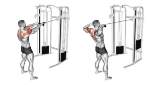 facepull à la corde