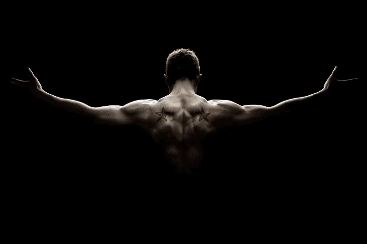 musculation du dos