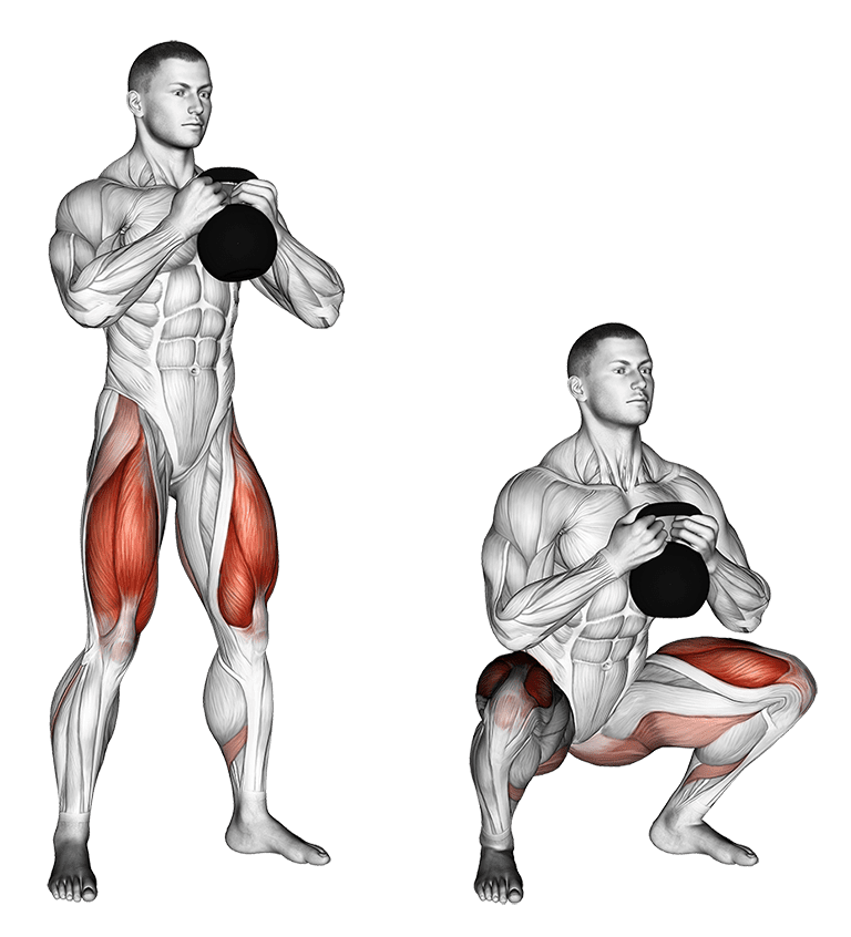 Comment Faire Du Goblet Squat Pour Muscler Son Bas Du Corps Comment Faire Du Goblet Squat Pour Muscler Son Bas Du Corps