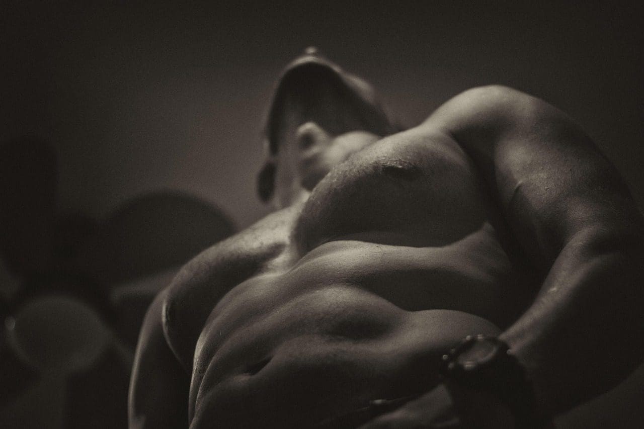 prendre du muscle