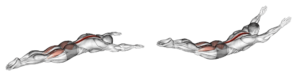 superman exercice dos