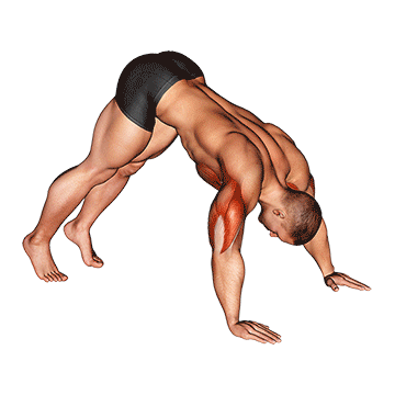 exécution pike push-ups