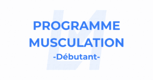 programme de musculation débutant