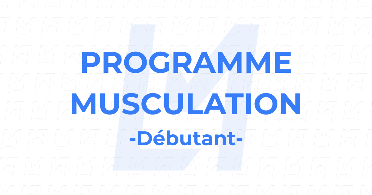 programme de musculation débutant